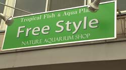 �Ă񂱂�����ǁI�������}��������