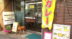 �Ă񂱂�����ǁI�������}��������