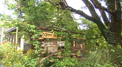 �Ă񂱂�����ǁI�������}��������