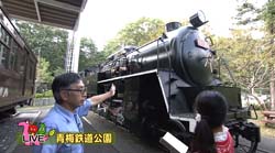 �Ă񂱂�����ǁI�������}��������