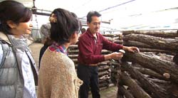 �Ă񂱂�����ǁI�������}��������