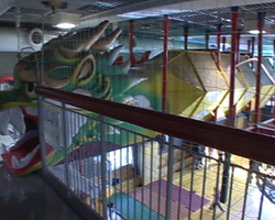 �Ă񂱂�����ǁI�������}��������