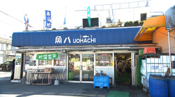 �Ă񂱂�����ǁI�������}��������