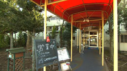 �Ă񂱂�����ǁI�������}��������