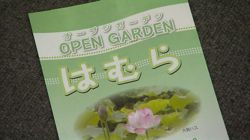 �Ă񂱂�����ǁI�������}��������