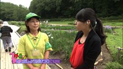 �Ă񂱂�����ǁI�������}��������