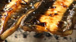 �Ă񂱂�����ǁI�������}��������