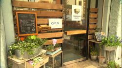 �Ă񂱂�����ǁI�������}��������