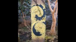 �Ă񂱂�����ǁI�������}��������