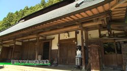 �Ă񂱂�����ǁI�������}��������