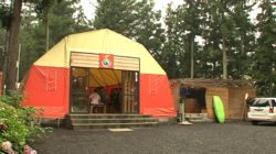 �Ă񂱂�����ǁI�������}��������