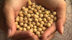 �Ă񂱂�����ǁI�������}��������