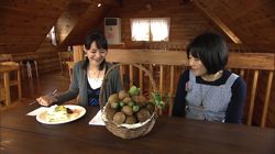 �Ă񂱂�����ǁI�������}��������