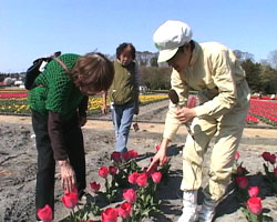 �Ă񂱂�����ǁI�������}��������