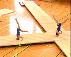 �Ă񂱂�����ǁI�������}��������