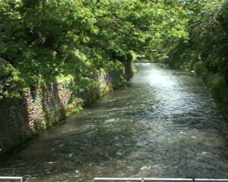 �Ă񂱂�����ǁI�������}��������