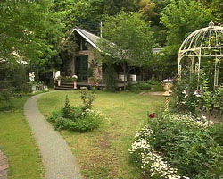 �Ă񂱂�����ǁI�������}��������