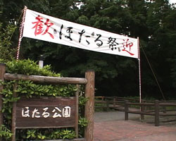 �Ă񂱂�����ǁI�������}��������