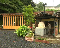 �Ă񂱂�����ǁI�������}��������