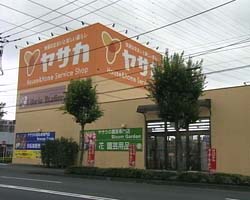 �Ă񂱂�����ǁI�������}��������