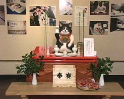 �Ă񂱂�����ǁI�������}��������