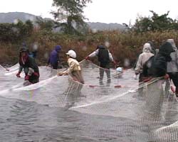 �Ă񂱂�����ǁI�������}��������