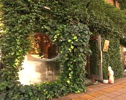 �Ă񂱂�����ǁI�������}��������