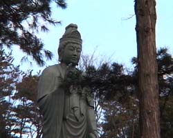 �Ă񂱂�����ǁI�������}��������