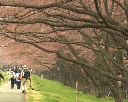 �Ă񂱂�����ǁI�������}��������