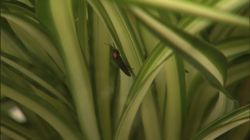 �Ă񂱂�����ǁI�������}��������