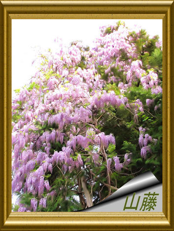 �o��Ƃ�悪��