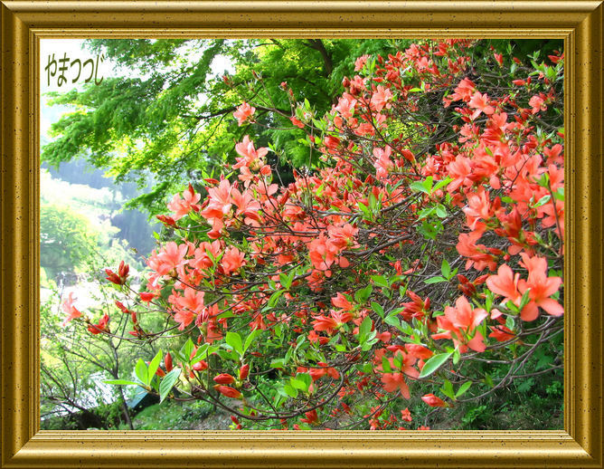 �o��Ƃ�悪��