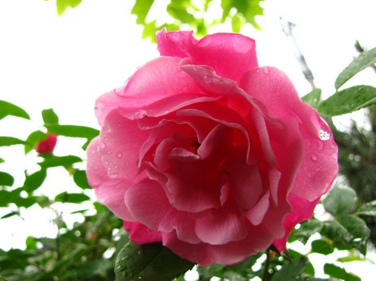 �o��Ƃ�悪��