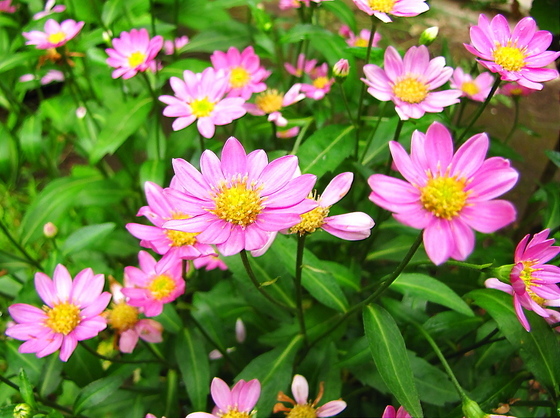 �o��Ƃ�悪��