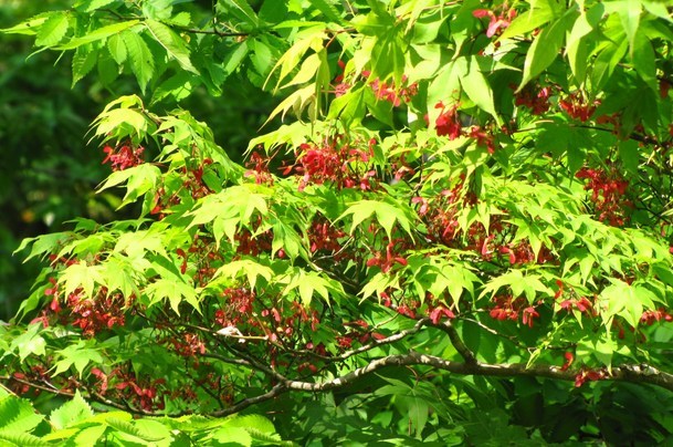 �o��Ƃ�悪��