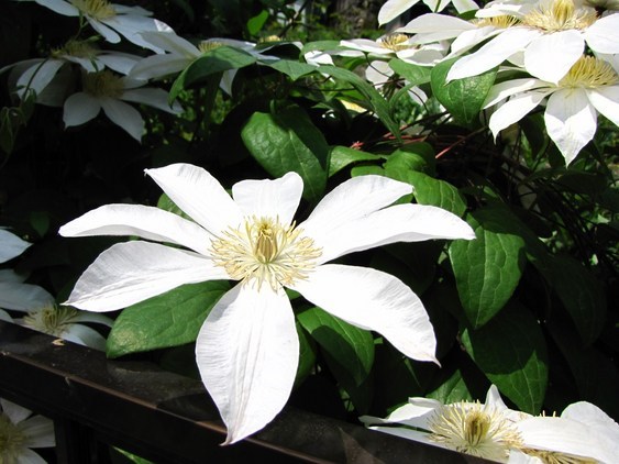 �o��Ƃ�悪��