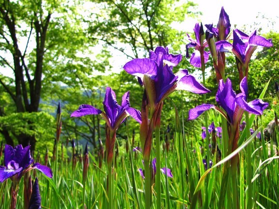 �o��Ƃ�悪��