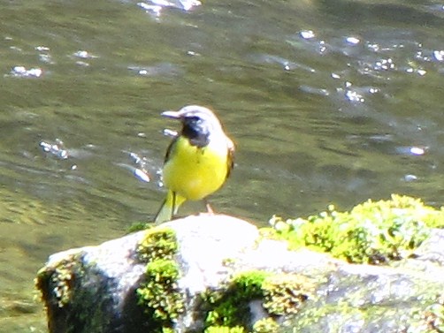 �o��Ƃ�悪��