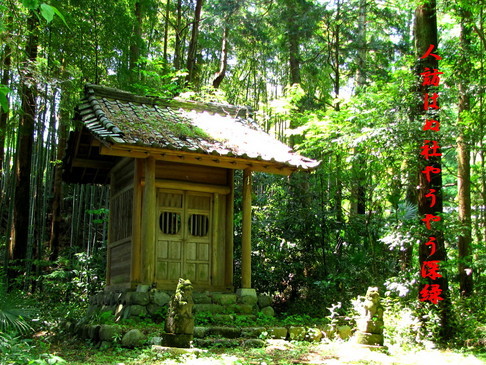 �o��Ƃ�悪��