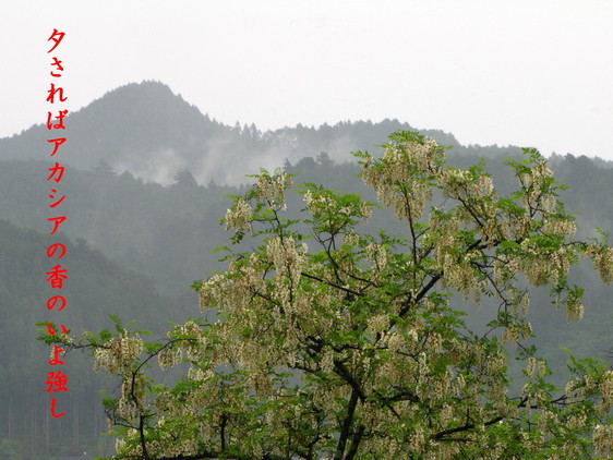 �o��Ƃ�悪��