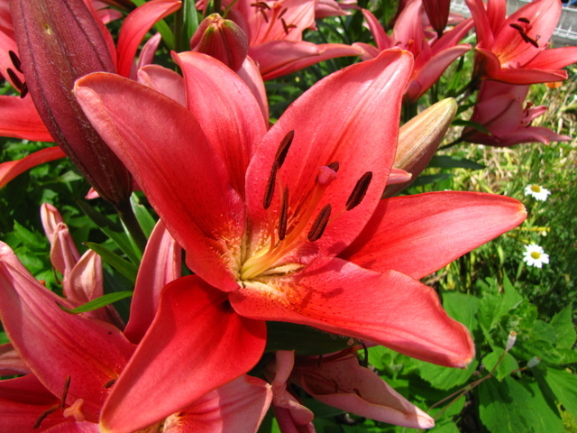 �o��Ƃ�悪��