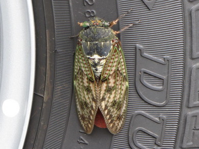 �o��Ƃ�悪��