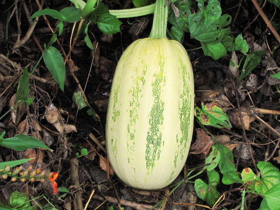 �o��Ƃ�悪��