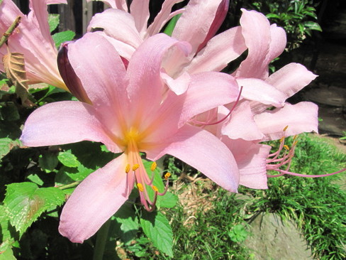 �o��Ƃ�悪��