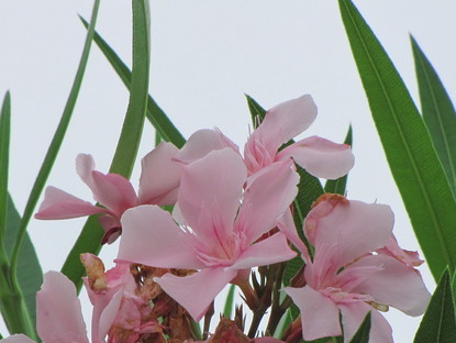 �o��Ƃ�悪��