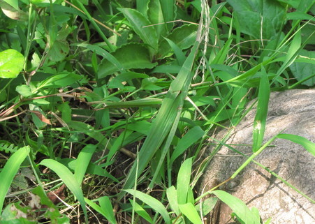 �o��Ƃ�悪��