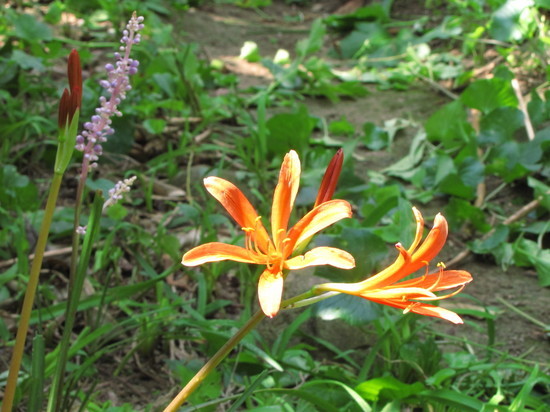 �o��Ƃ�悪��