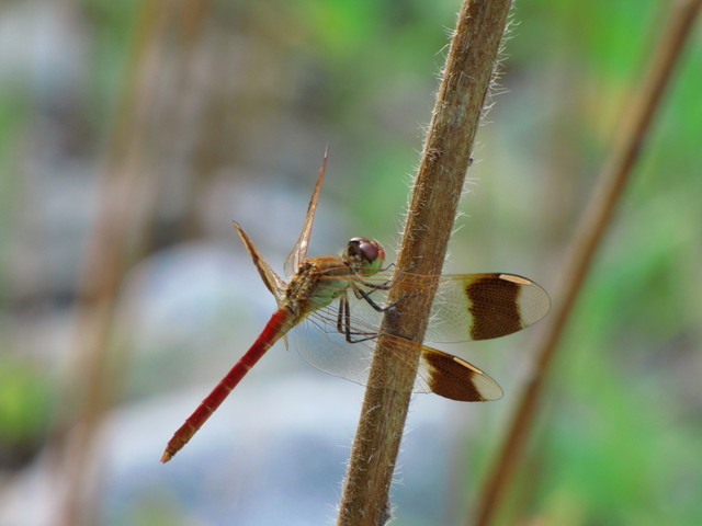 �o��Ƃ�悪��