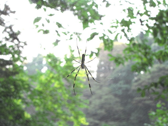 �o��Ƃ�悪��