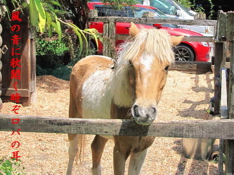 �o��Ƃ�悪��